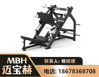 淮南45°倒蹬训练器